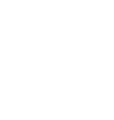 Networking inside and outside the consortium - Icon